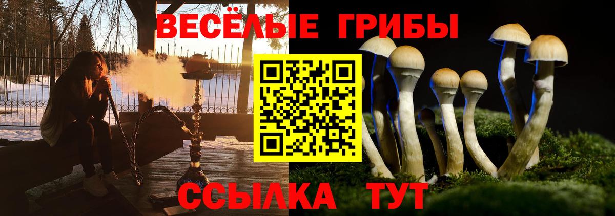 Галлюциногенные грибы ЛСД Анапа